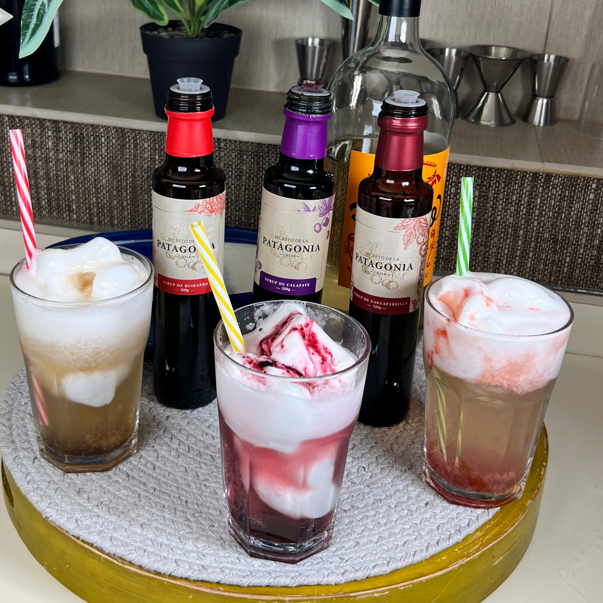 Aluvion-Magallanico-Trilogia-Syrup-Zarzaparrila-Ruibarbo-Calafate-250 cc