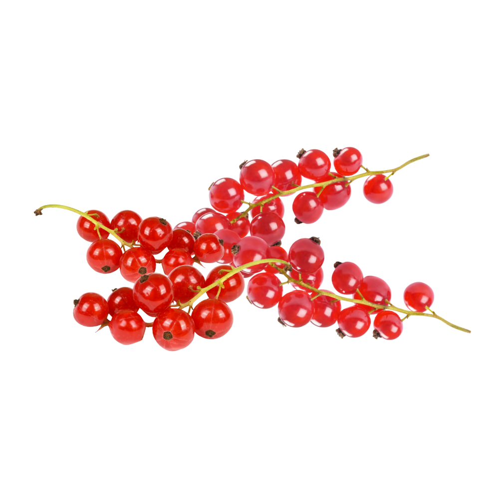 Mermelada Artesanal de Zarzaparrilla – Frasco 180 g